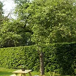 Oda ve Kahvaltı Bed & Breakfast De Haere 3*