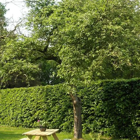 Bed & Breakfast Bed&breakfast De Haere 3*