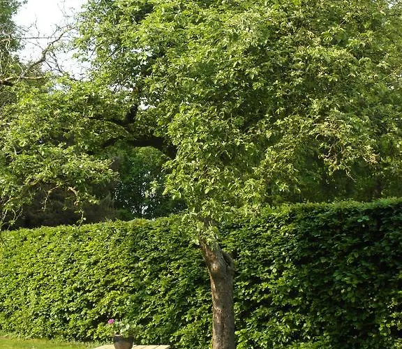 Bed and breakfast Bed & Breakfast De Haere 3*